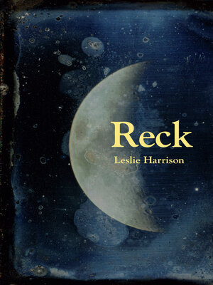 cover image of Reck